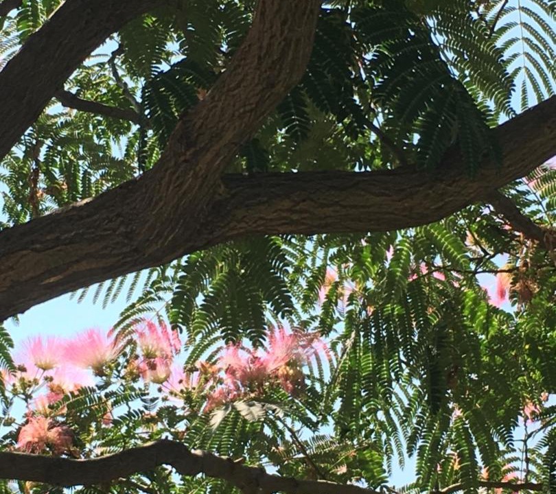 Photo of Others in Aiguines