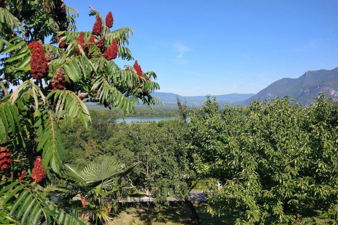 Photo of Others in Chanaz