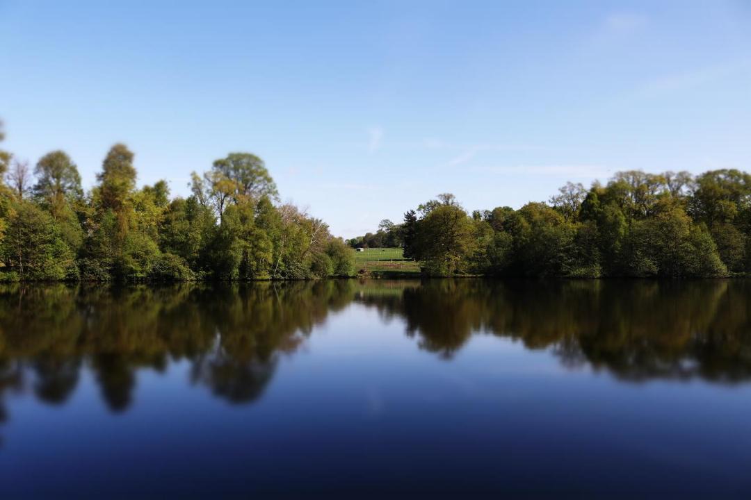 Photo of Others in Saint-Symphorien-des-Monts