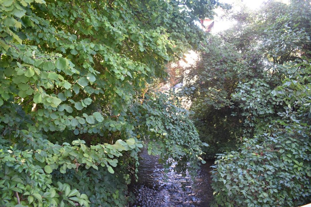 Photo of Outdoor in Reichshoffen