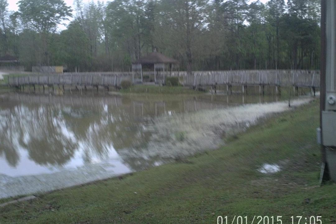 Photo of Others in Hattiesburg