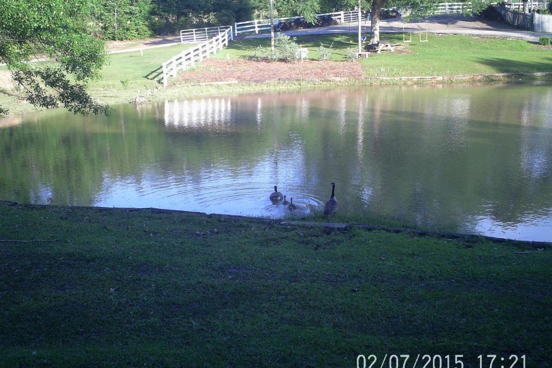 Photo of Others in Hattiesburg