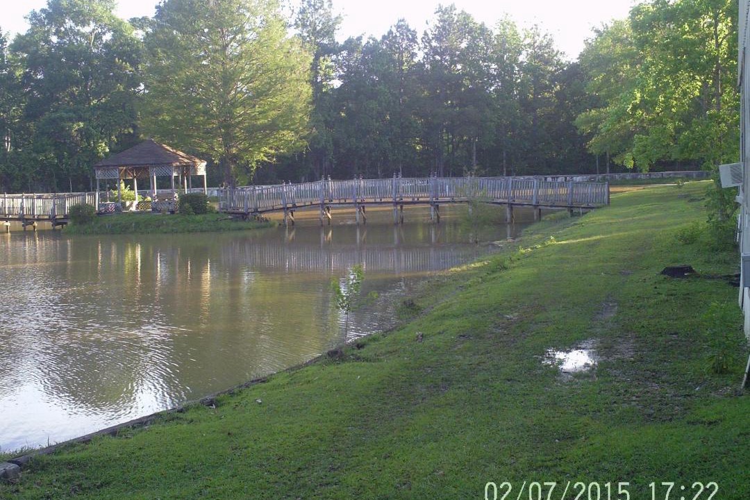 Photo of Others in Hattiesburg