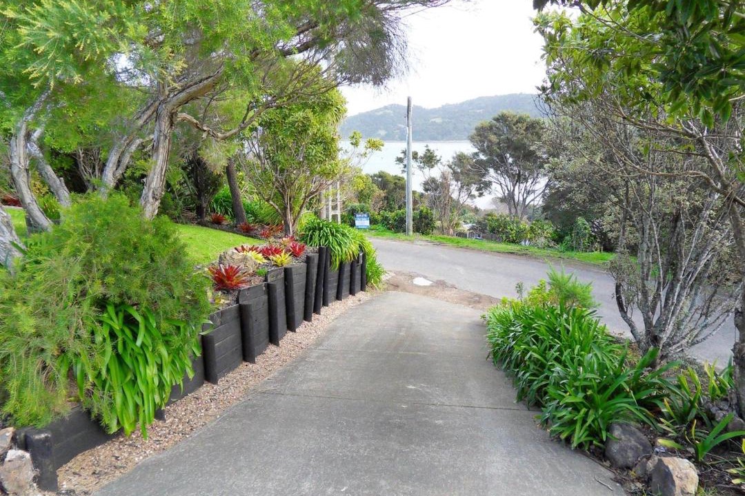 Photo of Others in Oneroa