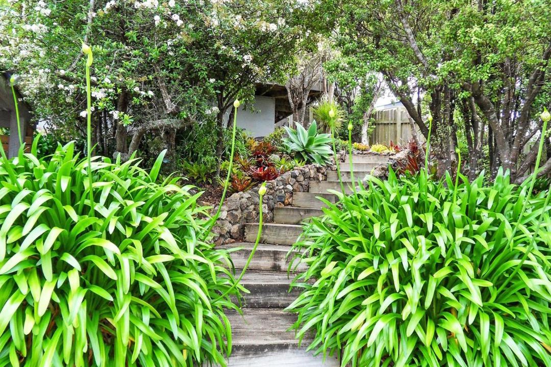 Photo of Others in Oneroa