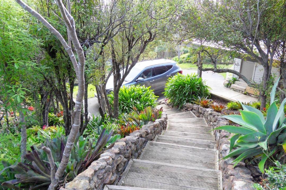 Photo of Others in Oneroa