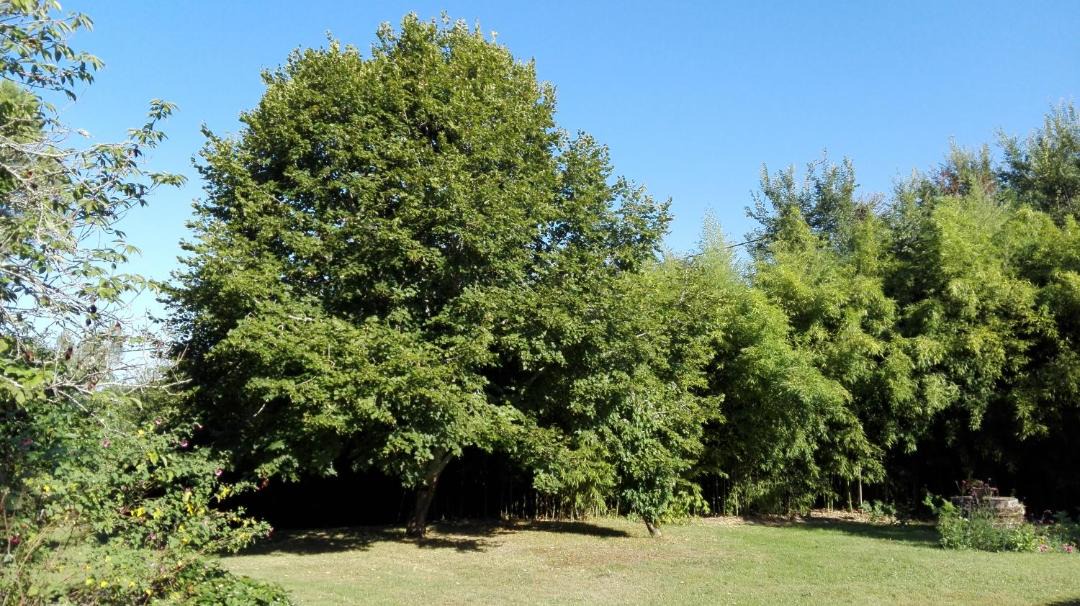 Photo of Outdoor in Lagorce