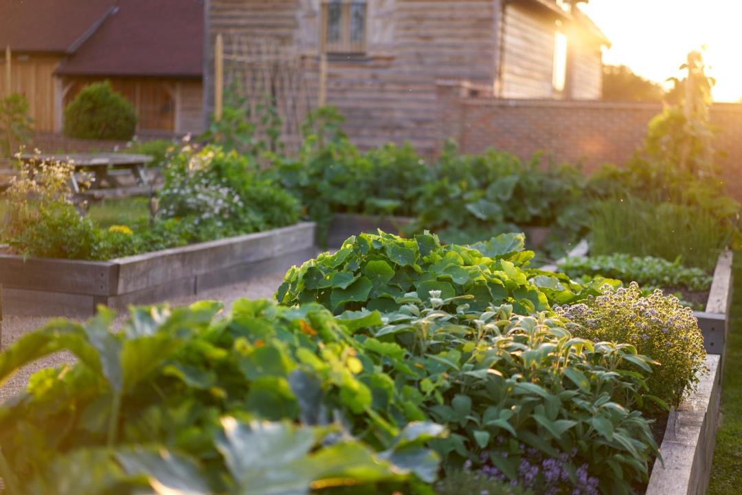 Photo of Others in Abbess Roding