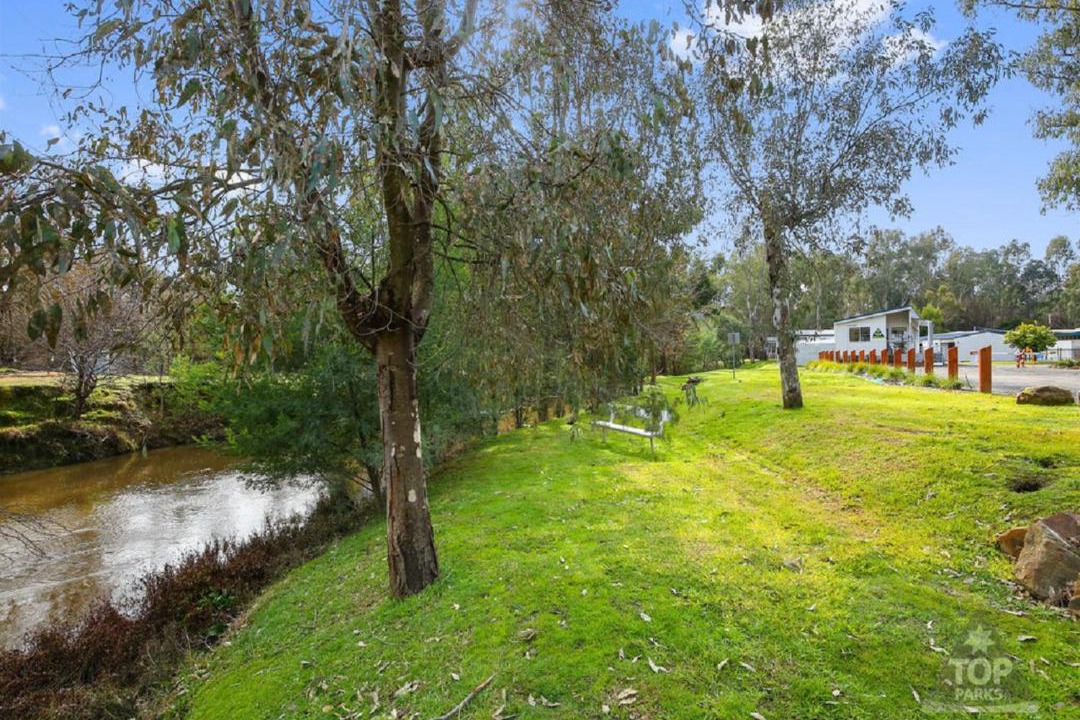 Photo of Others in Yea