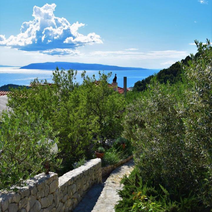 Photo of Others in Makarska