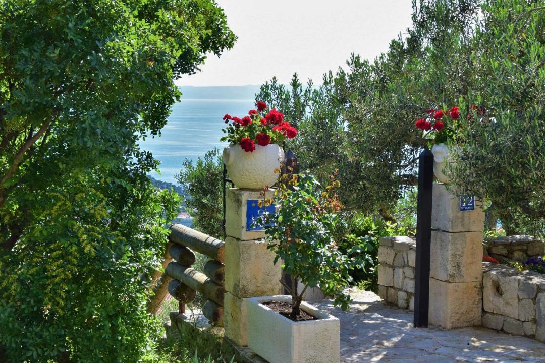 Photo of Others in Makarska