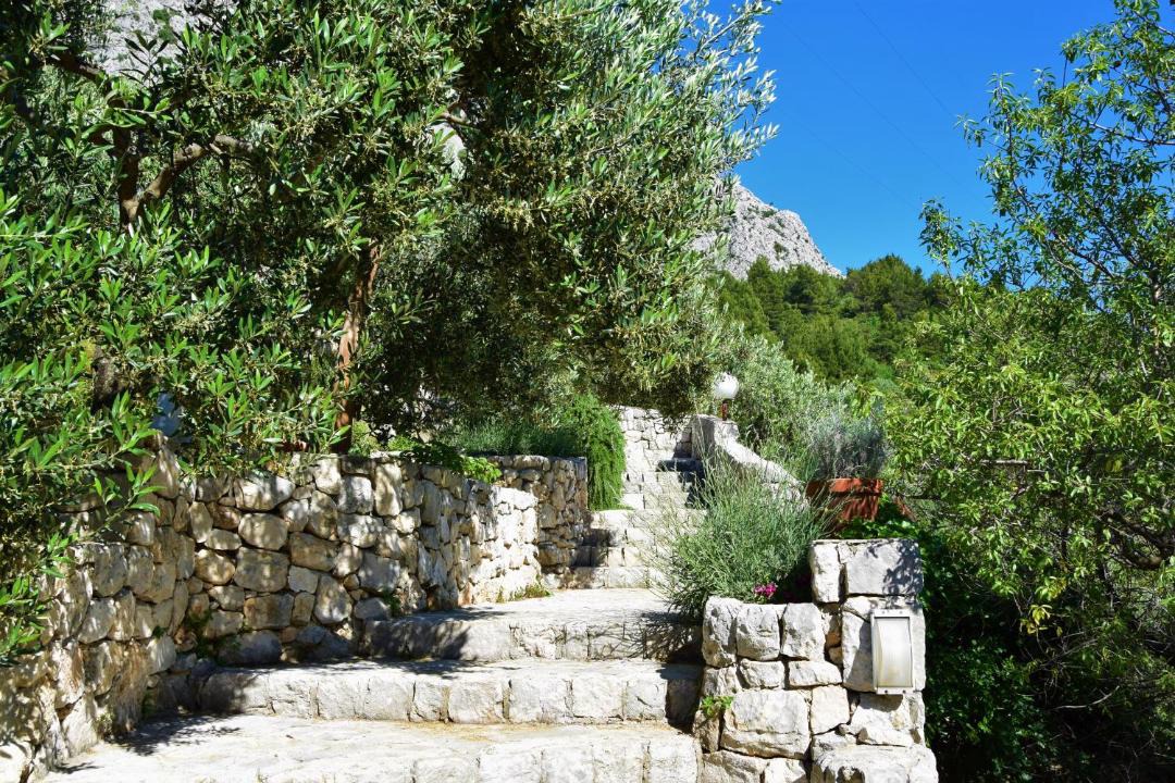 Photo of Others in Makarska