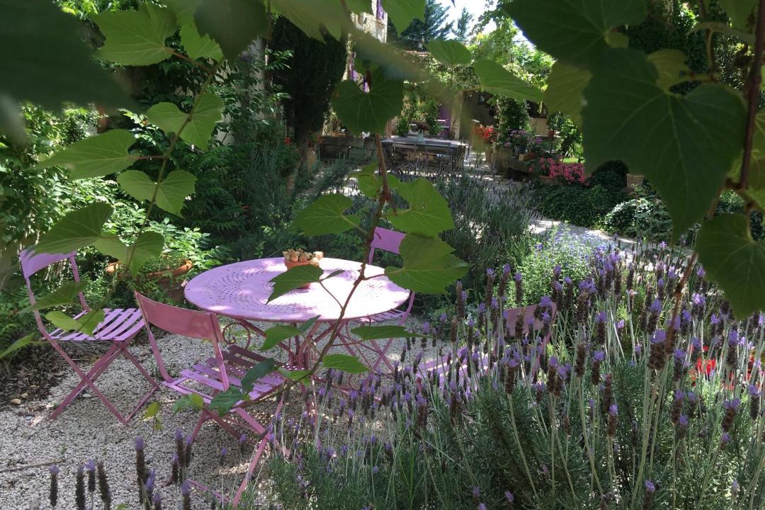 Photo of Others in Rognonas