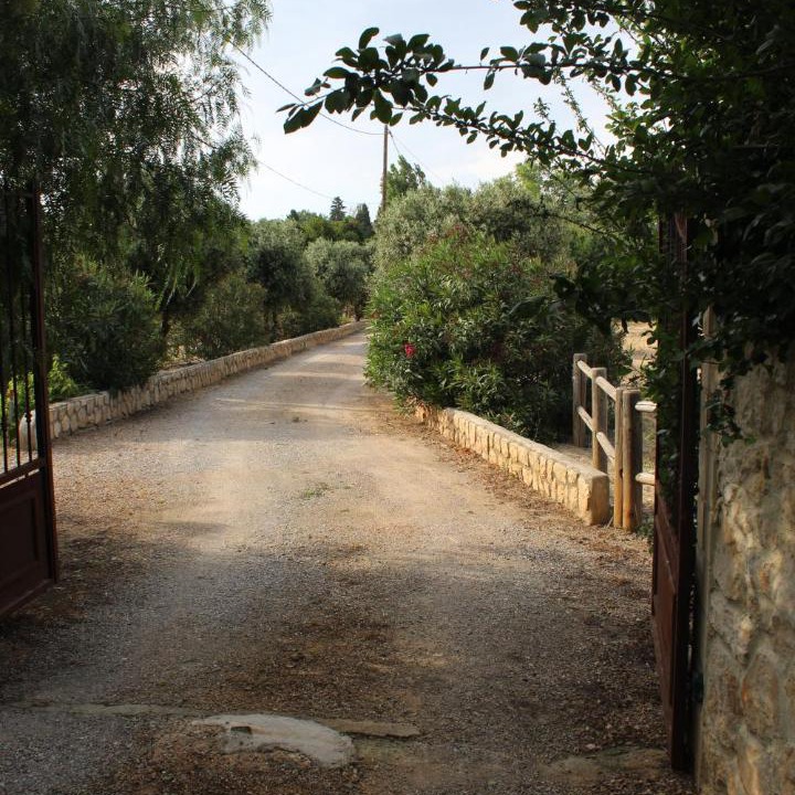 Photo of Outdoor in Saint-Esteve