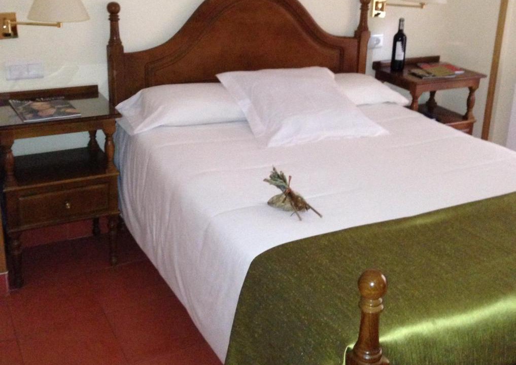 Photo of Bedroom in Elciego