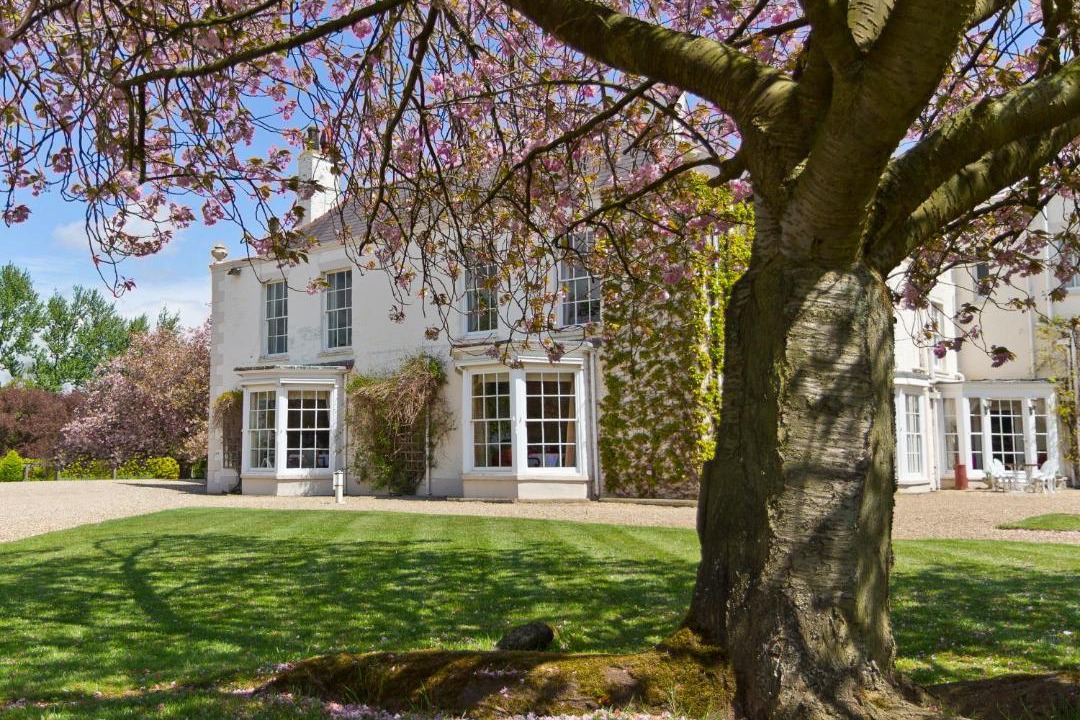 Photo of Others in Tickton