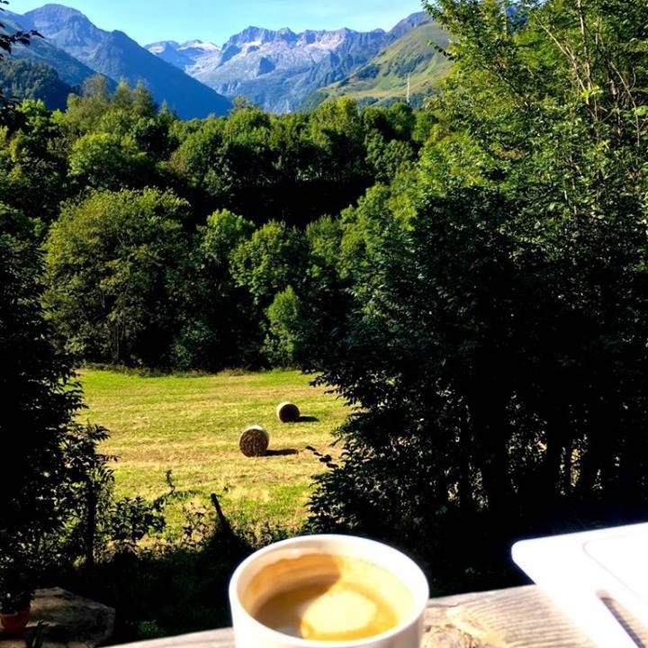 Photo of Others in Garin