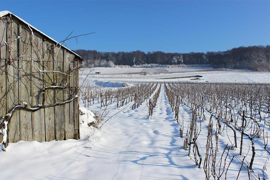 Photo of Others in Romery