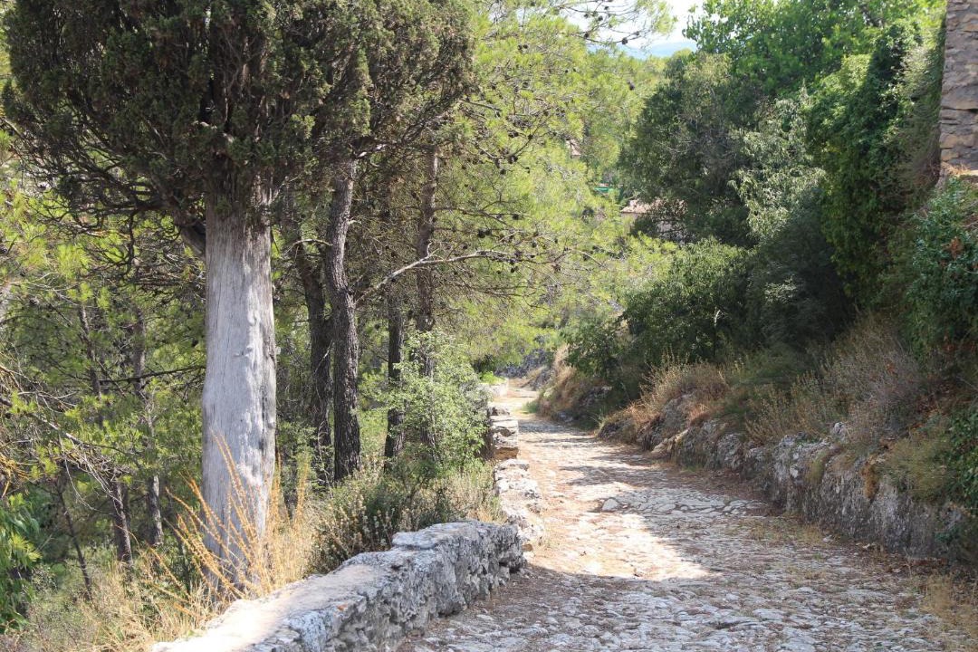 Photo of Others in Bocairente