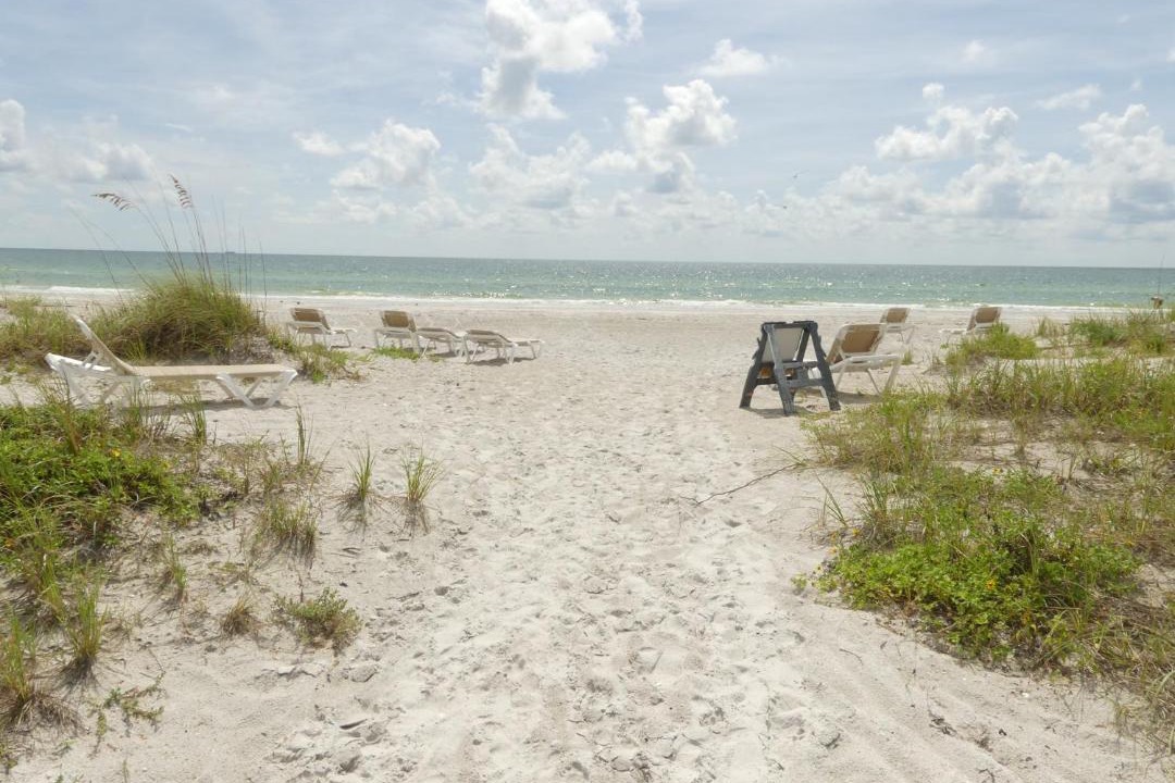 Photo of Others in Indian Shores