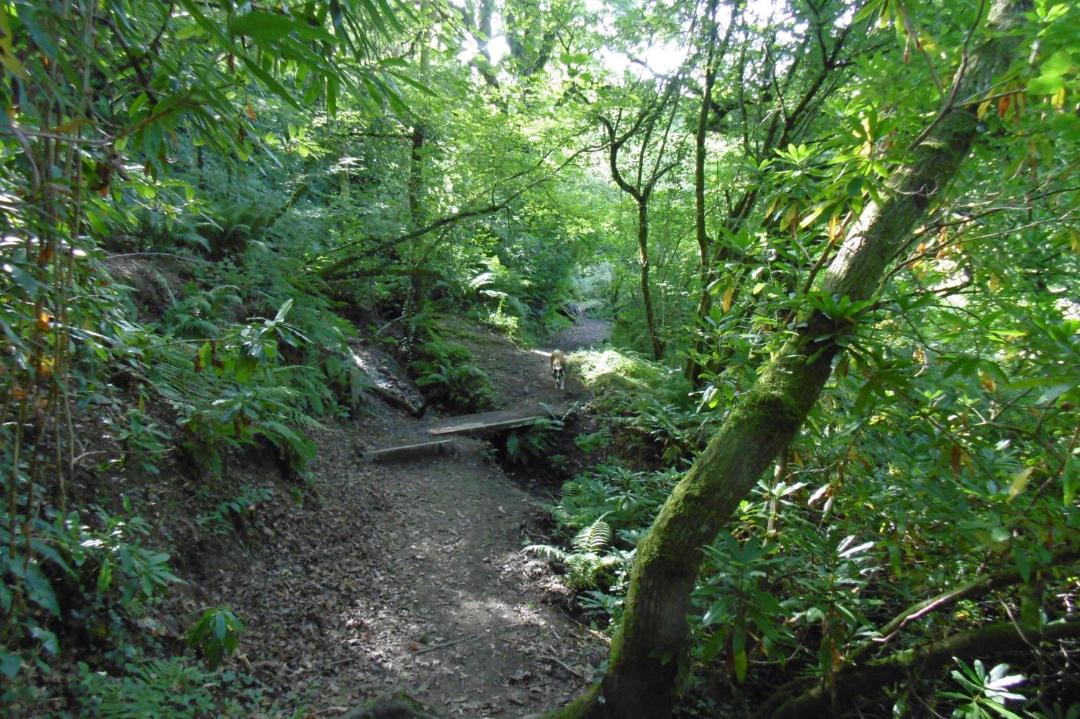 Photo of Others in Bucks Cross