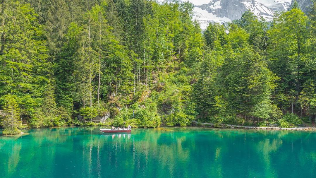 Photo of Others in Blausee