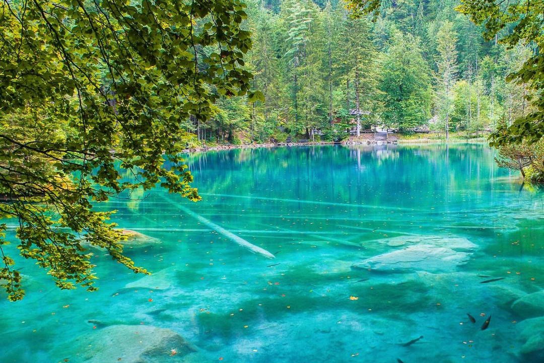 Photo of Others in Blausee