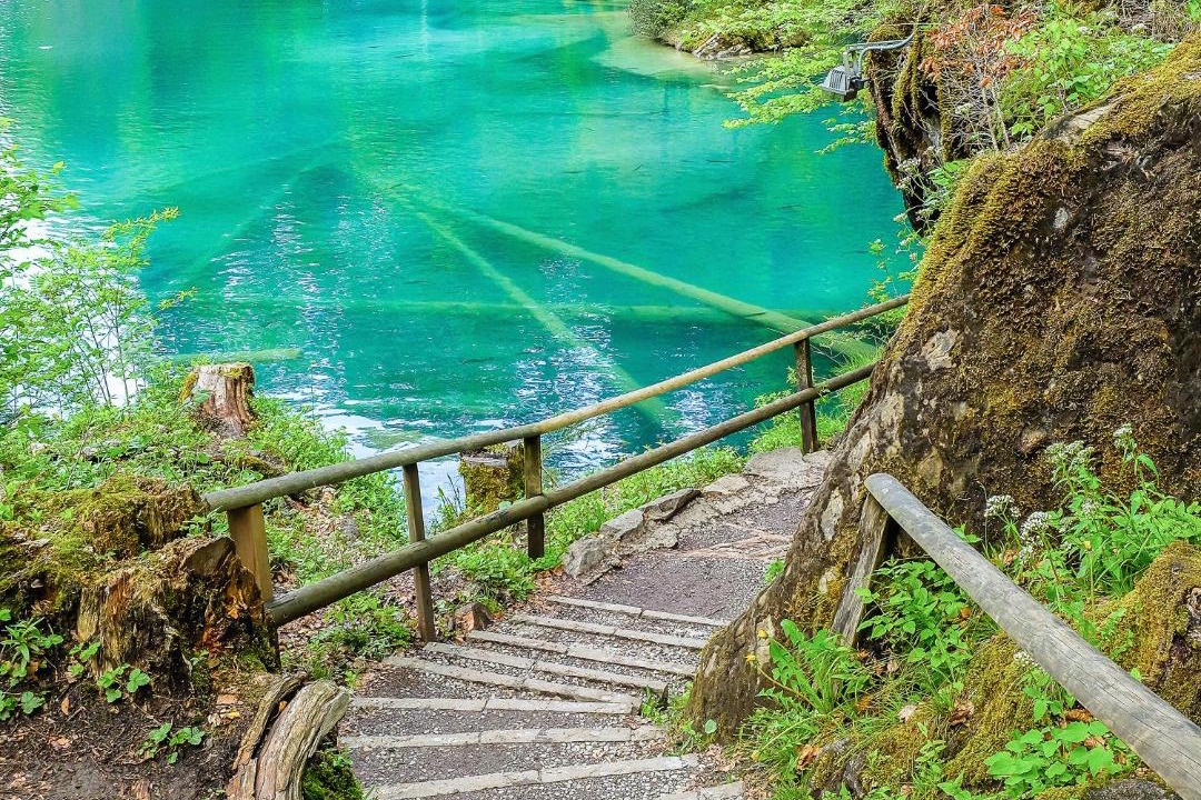 Photo of Others in Blausee