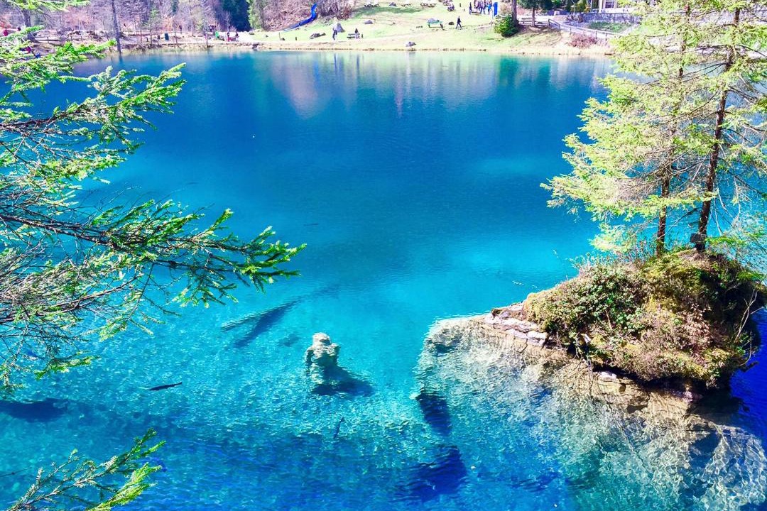 Photo of Others in Blausee