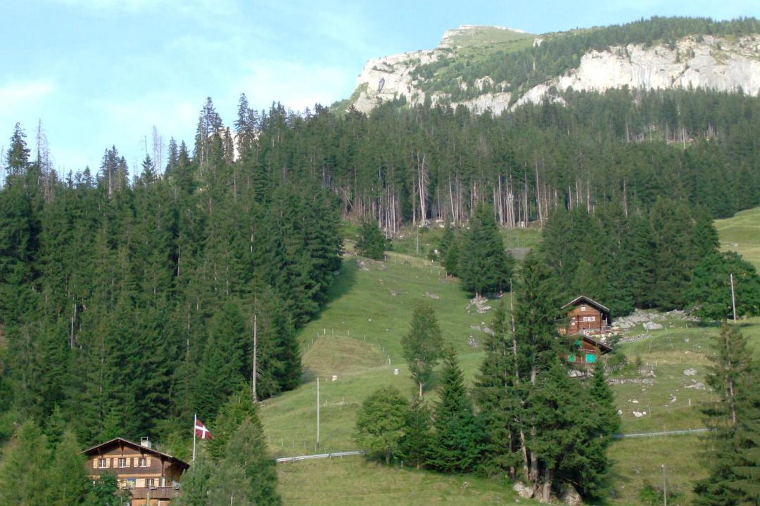 Photo of Others in Achseten