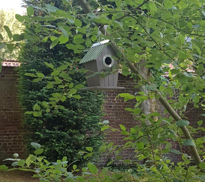 Photo of Others in Friville-Escarbotin