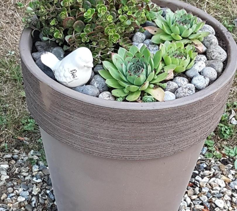 Photo of Outdoor in Friville-Escarbotin