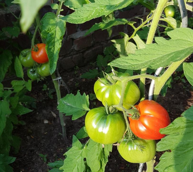 Photo of Outdoor in Friville-Escarbotin