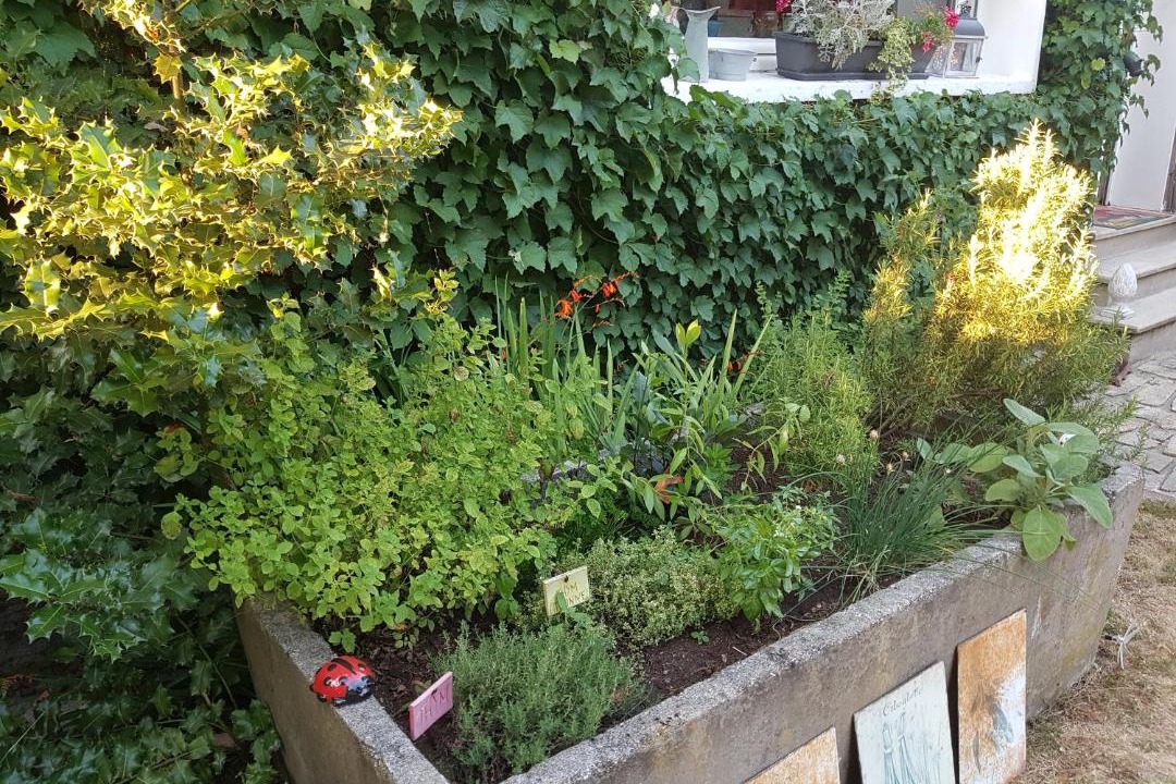 Photo of Others in Friville-Escarbotin