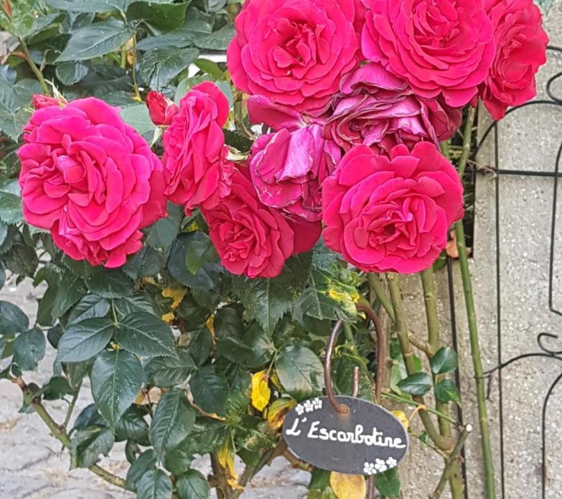 Photo of Others in Friville-Escarbotin