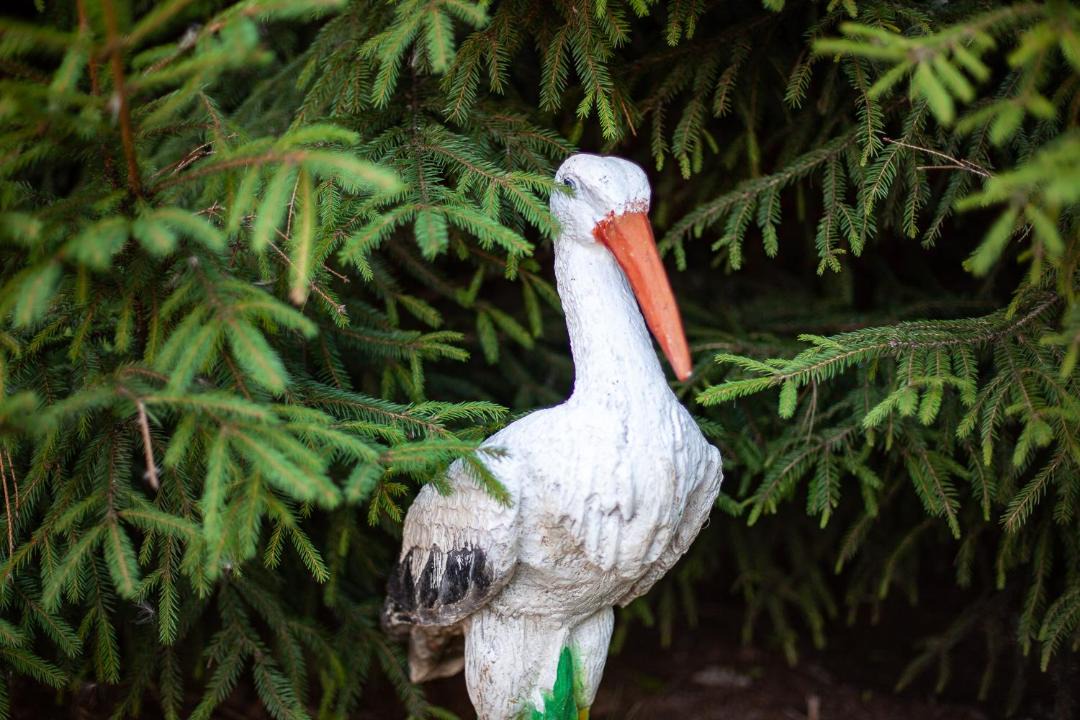 Photo of Others in Poyarkovo