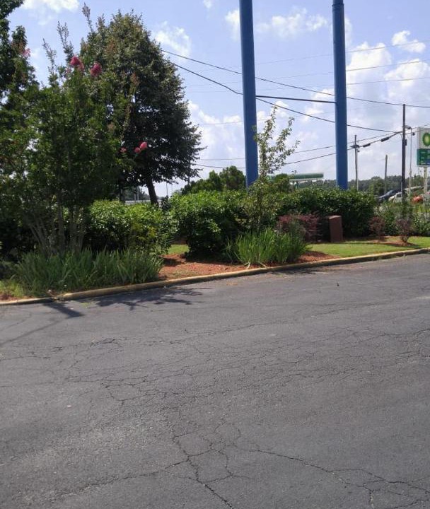 Photo of Others in Fredericksburg
