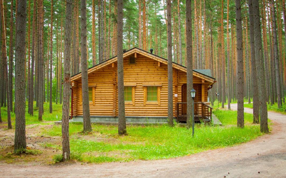 Photo of Buildings in Petrovskoye