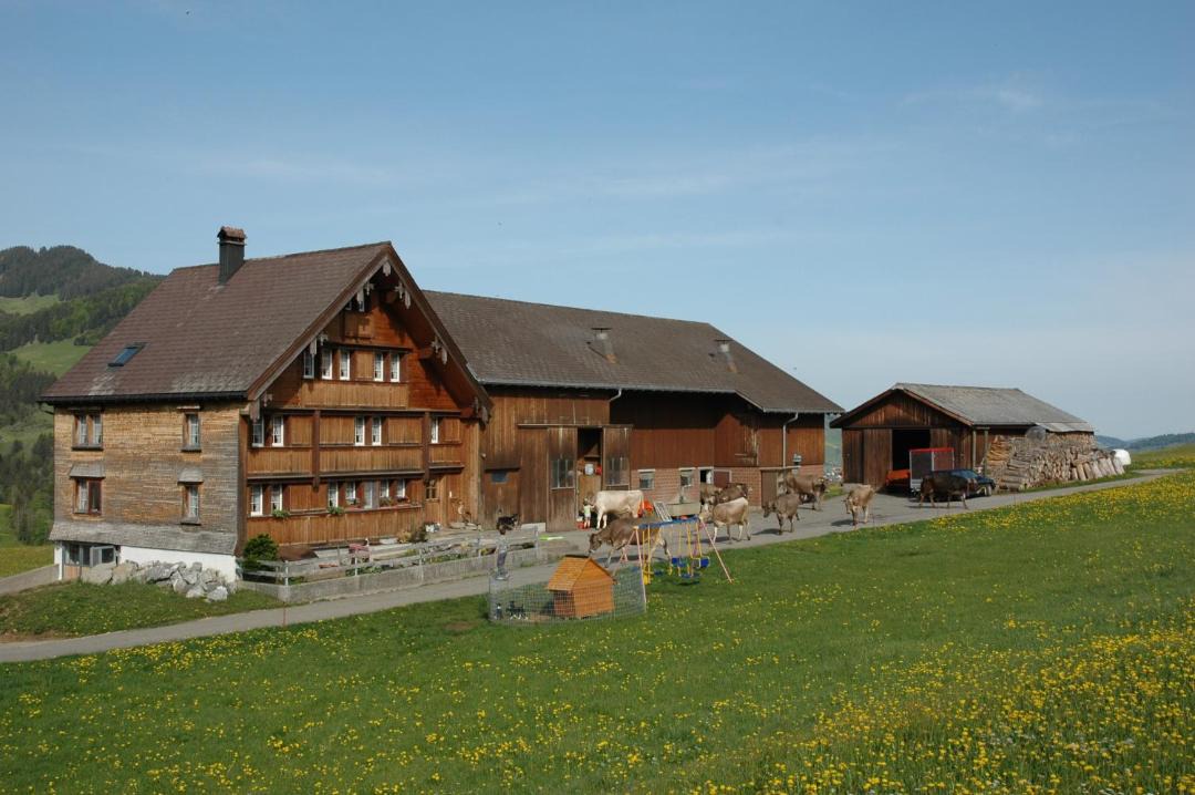 Photo of Others in Weissbad