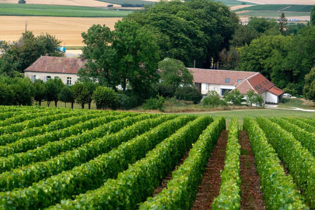 Photo of Others in Sermiers