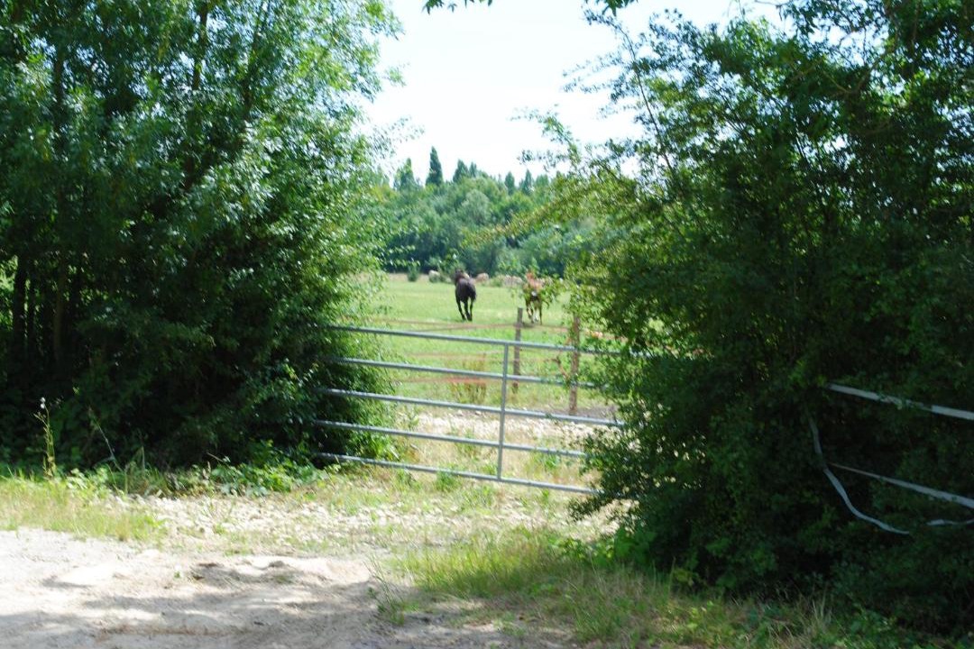 Photo of Others in Le Langon