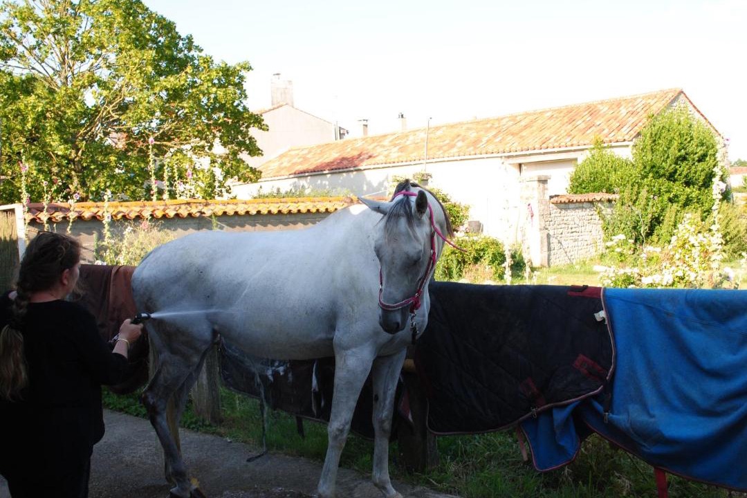 Photo of Others in Le Langon