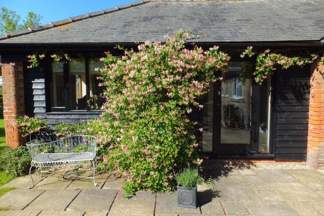 Photo of Others in Grafton Regis