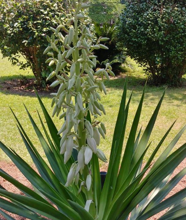 Photo of Others in Vienna