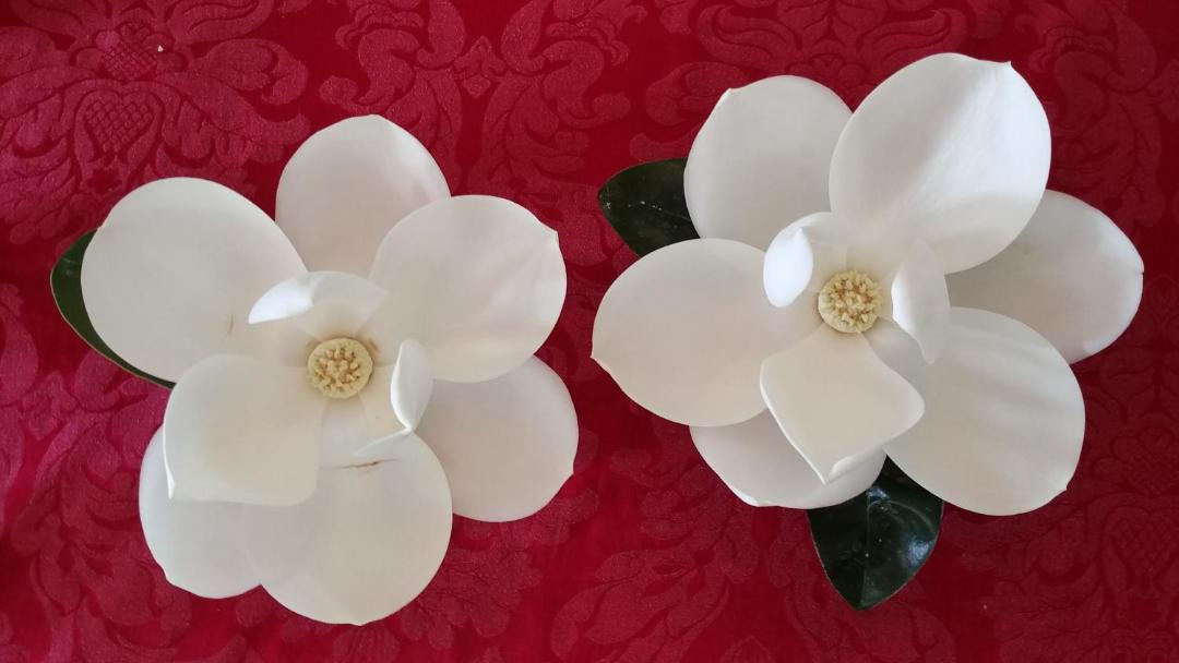 Photo of Others in Vienna