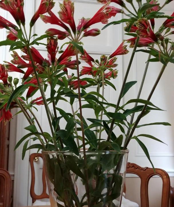 Photo of Others in Vienna