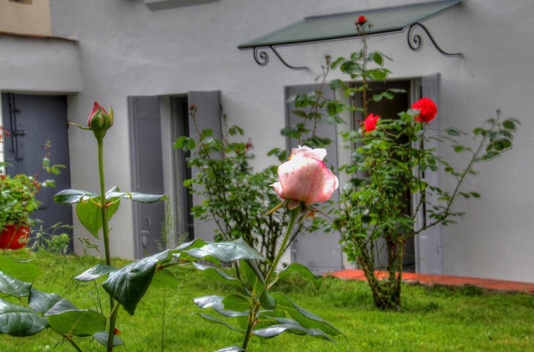 Photo of Others in La Reole