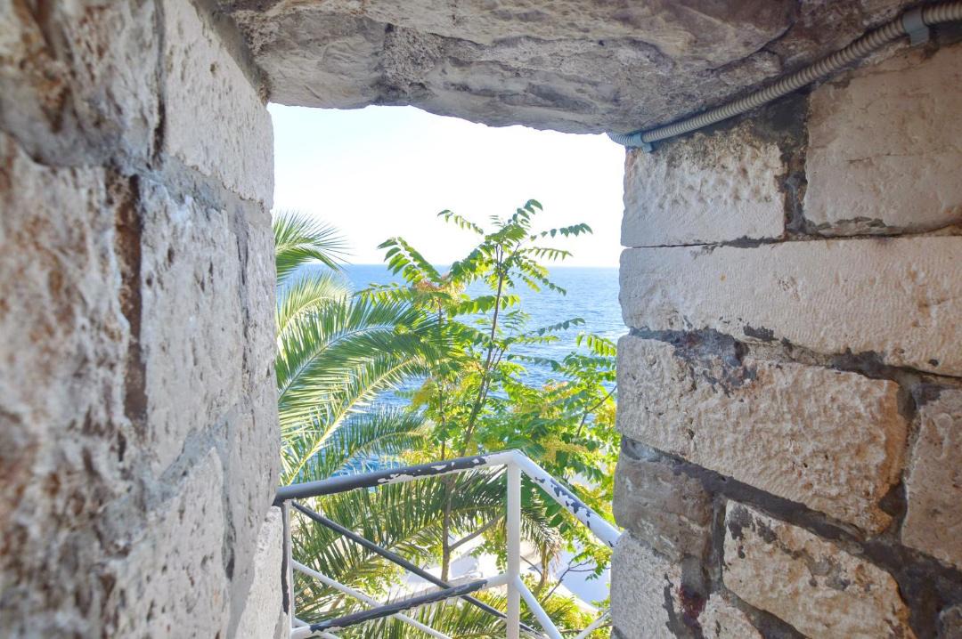 Photo of Others in Dubrovnik Old Town
