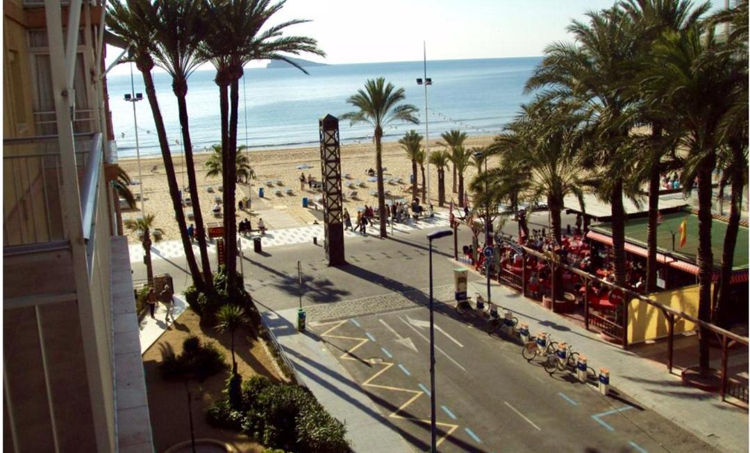 Photo of Others in Benidorm