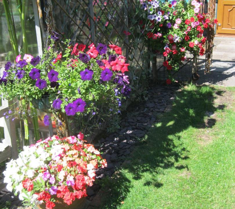 Photo of Others in Petersfield